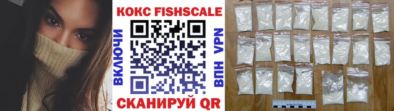 мориарти телеграм  Баксан  Cocaine Эквадор 