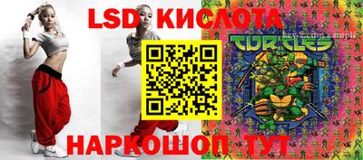 шишки Абинск