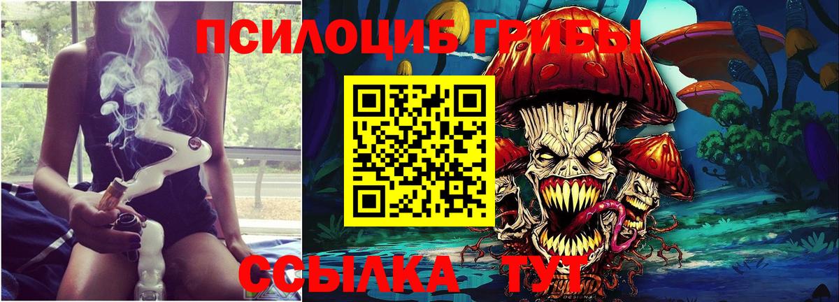 Псилоцибиновые грибы мухоморы Баксан