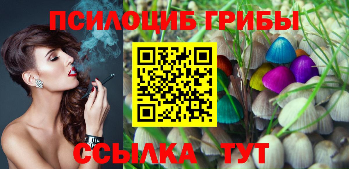 Баксан  Галлюциногенные грибы прущие грибы  Псилоцибиновые грибы Psilocybe  Вход с VPN 