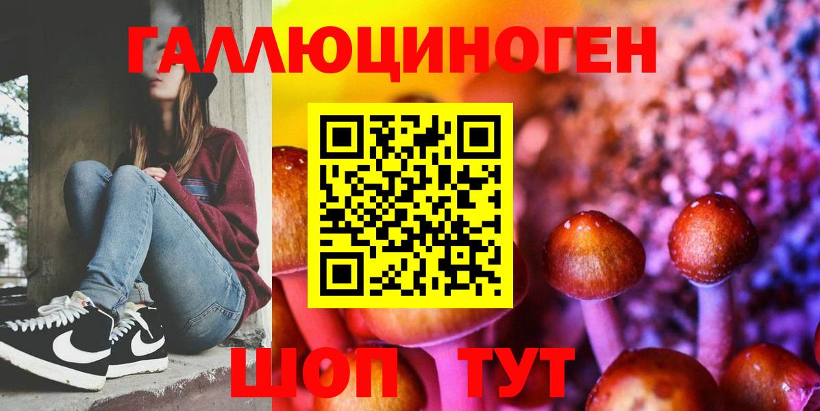 Псилоцибиновые грибы Psilocybine cubensis Баксан