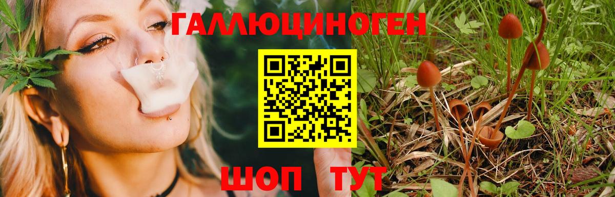 Псилоцибиновые грибы Magic Shrooms  Псилоцибиновые грибы Cubensis  Баксан 